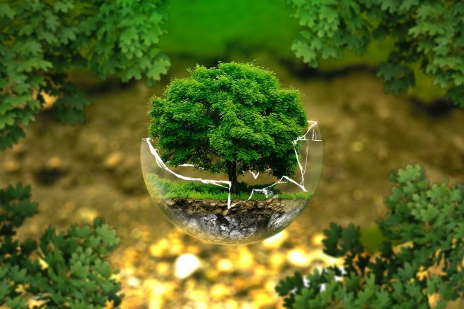Globálne rokovania COP15 o biodiverzite: EÚ na čele úsilia o uzavretie novej dohody na ochranu ľudí a planéty