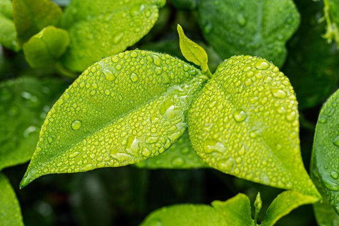 Ôsmy environmentálny akčný program: EÚ plánuje merať pokrok pri plnení cieľov zelenej dohody v oblasti životného prostredia a klímy