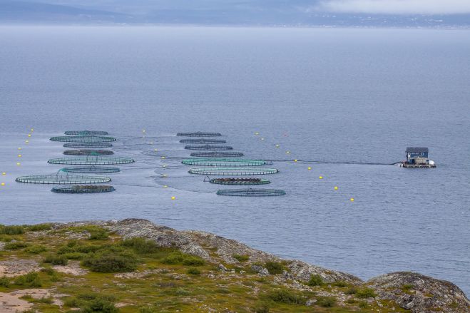 Rybárstvo: Komisia navrhuje druhý balík krízových opatrení na podporu rybolovu a akvakultúry